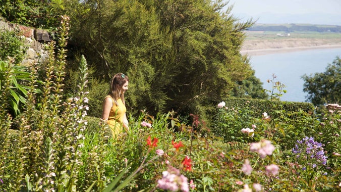 Visitor in garden at Plas yn Rhiw, Llyn Peninsula, Gwynedd